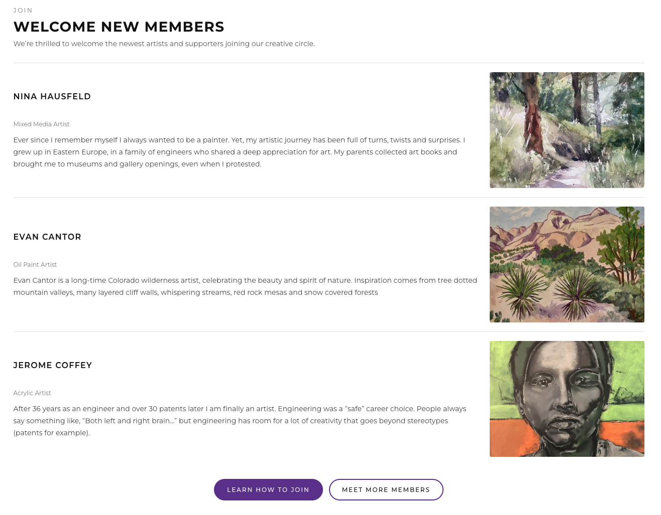Boulder Art Association homepage with custom hero and navigation on desktop