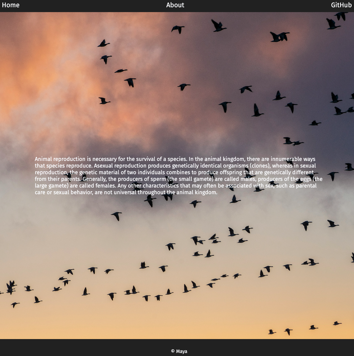 Antipode documentation screenshot