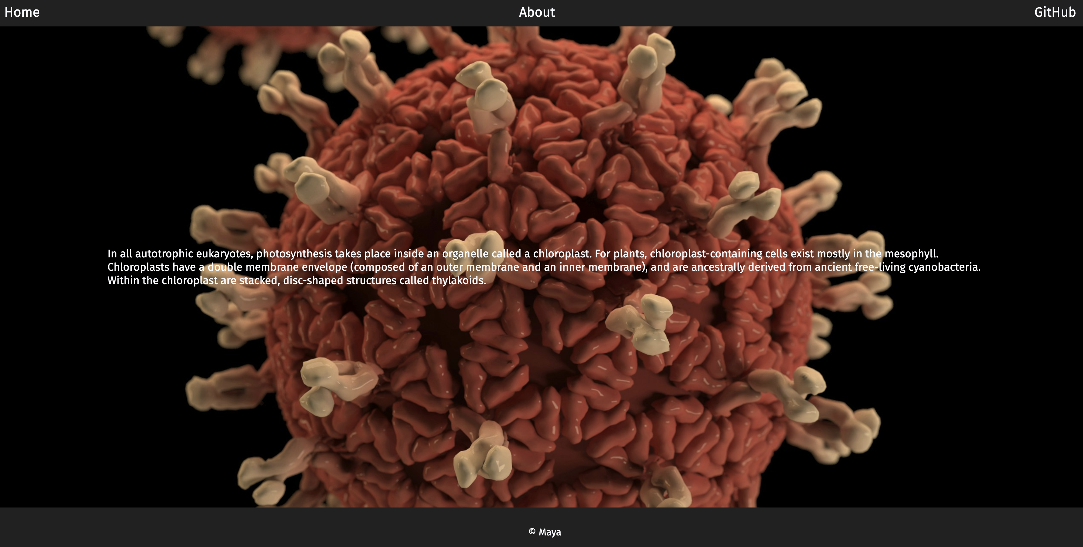 Stochasticity gameplay screenshot