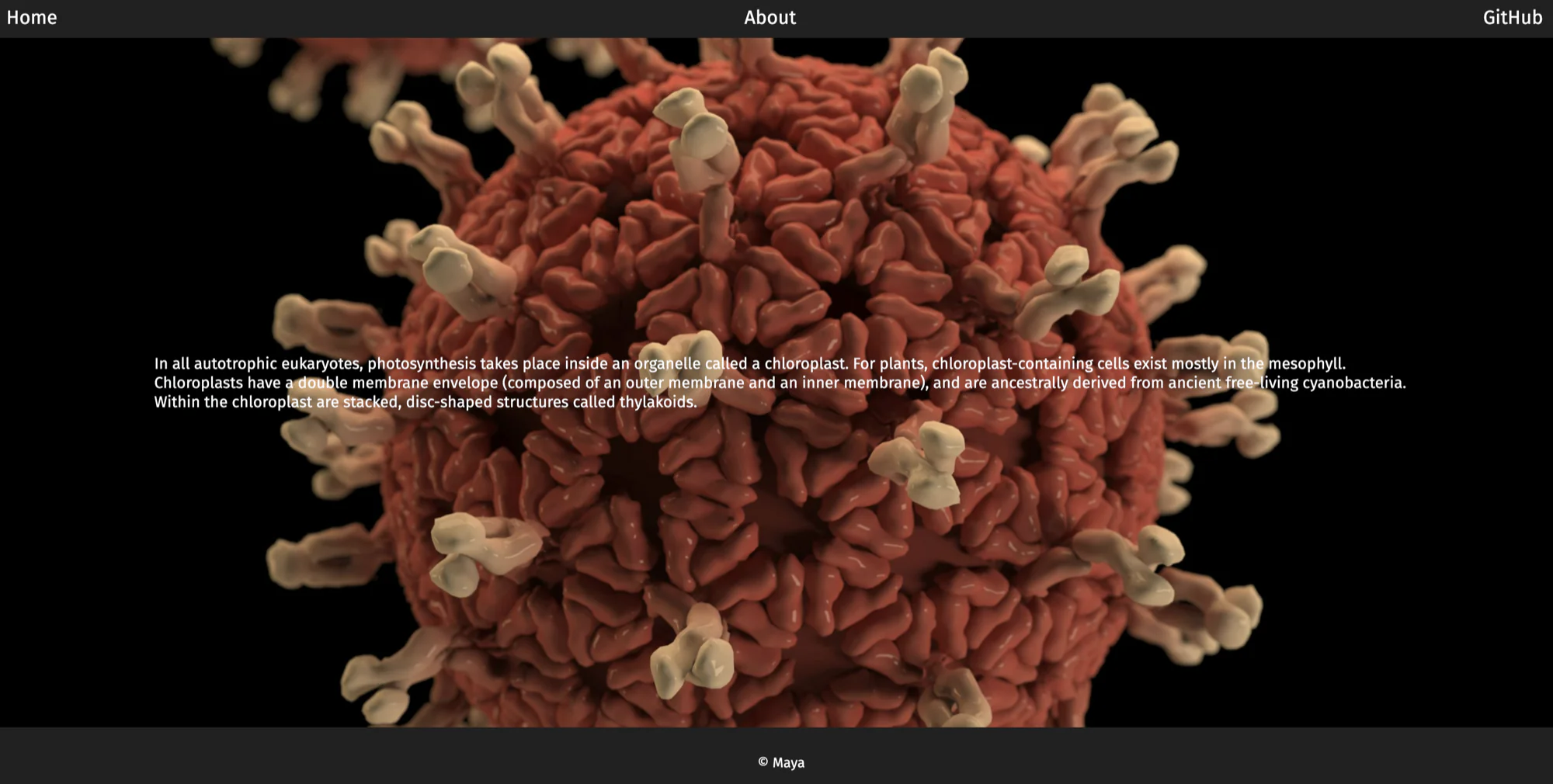 Stochasticity gameplay screenshot